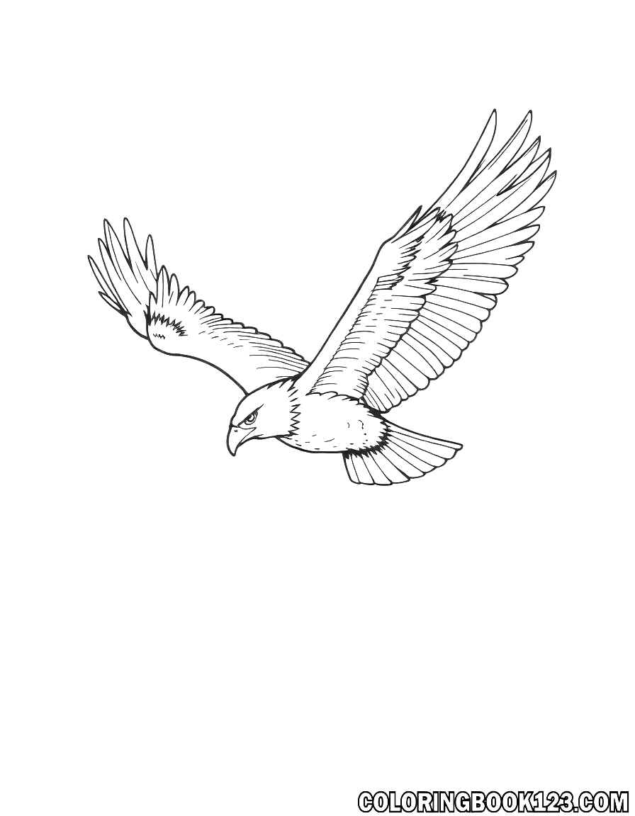 Eagle in the sky coloring page