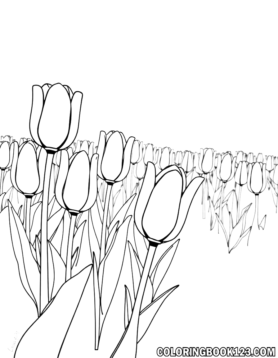 Ausmalbild eines Tulpenfeldes in Schwarz-Weiß