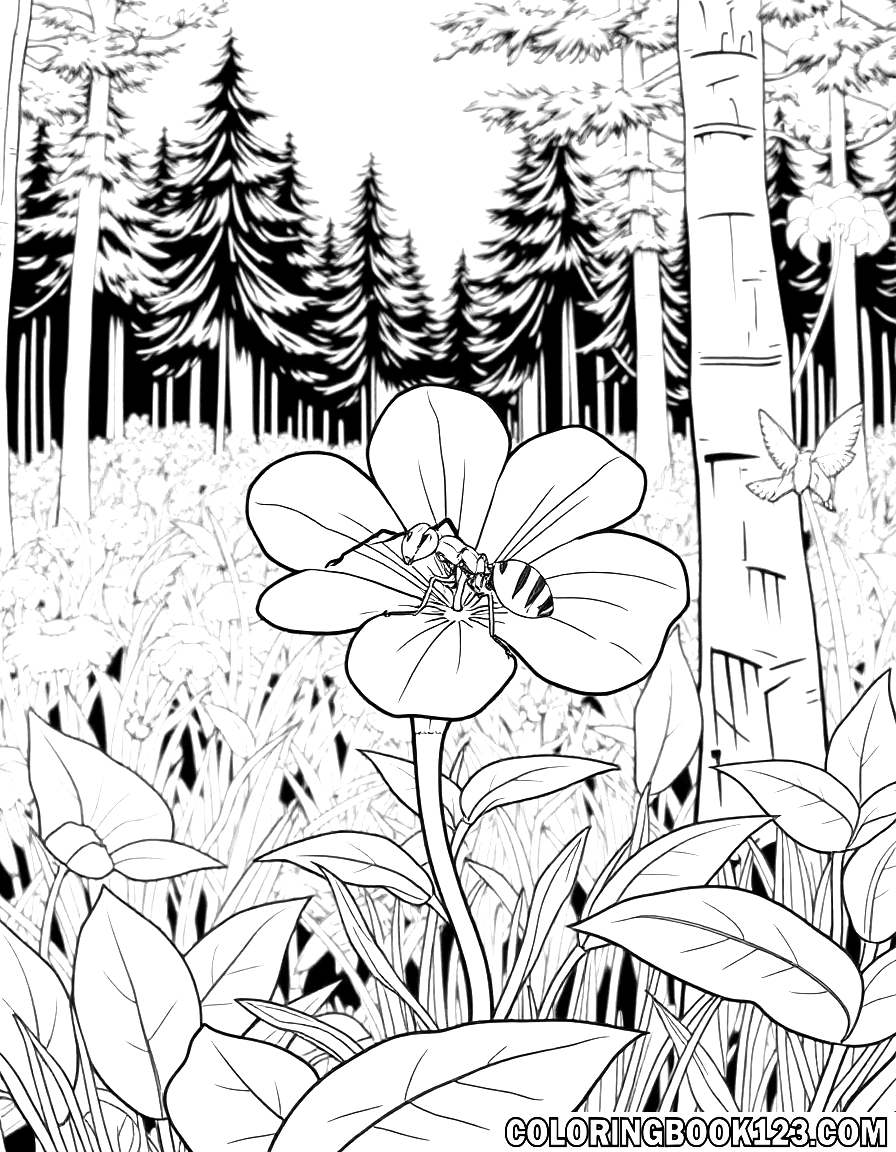 Ameise auf einer Blume im Wald, Ausmalbild
