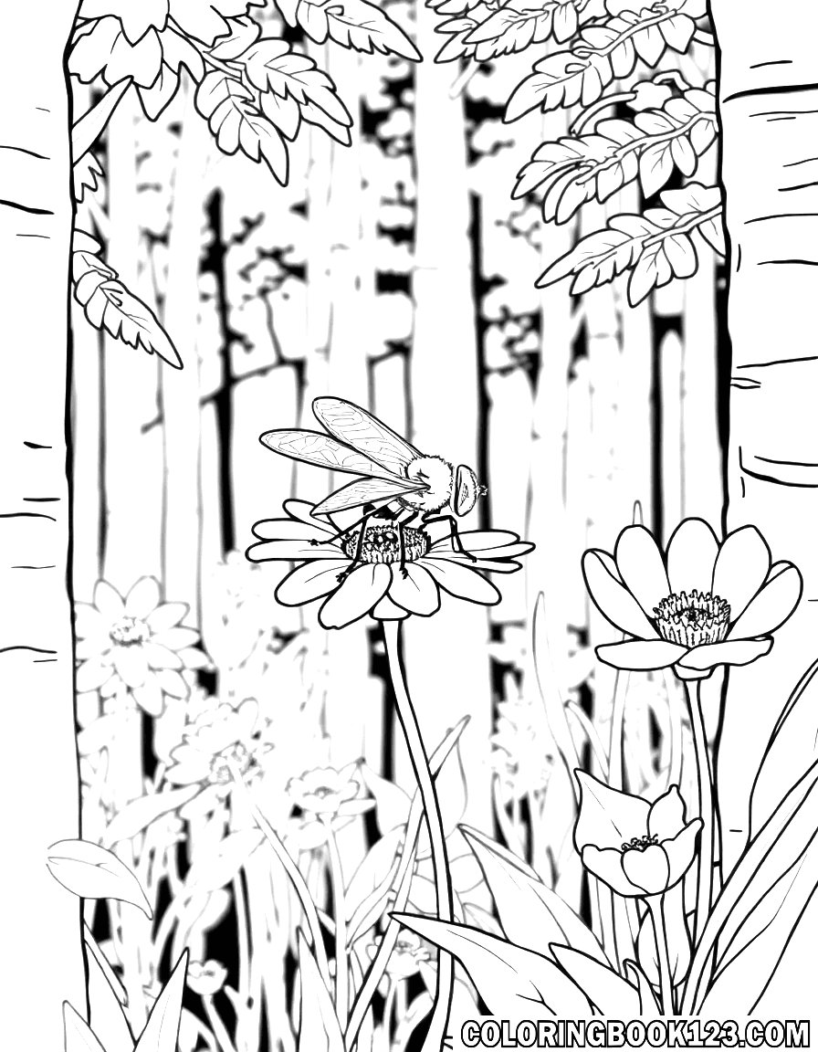 Fliege auf einer Blume im Wald Ausmalbild