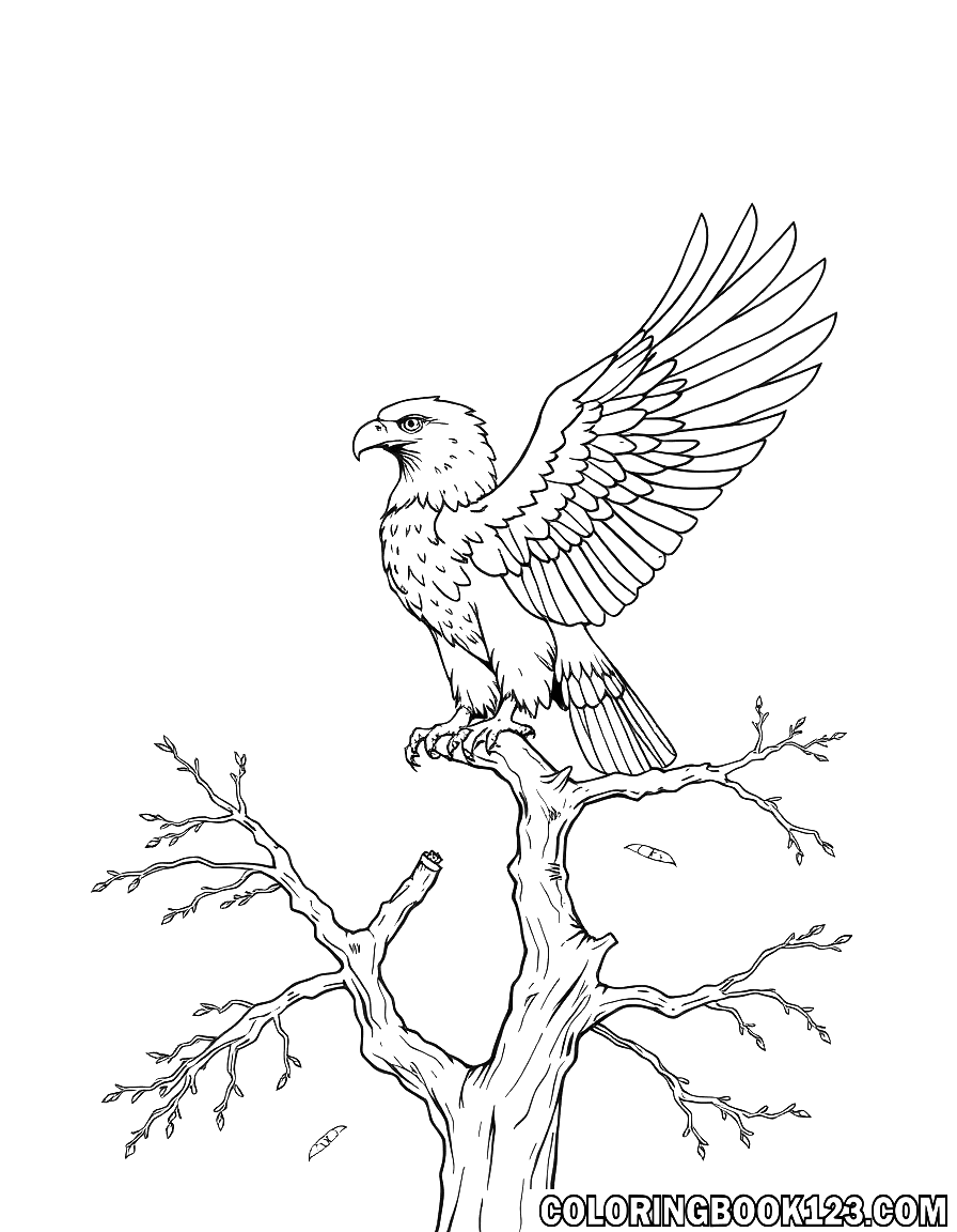 Eagle on a tree coloring page