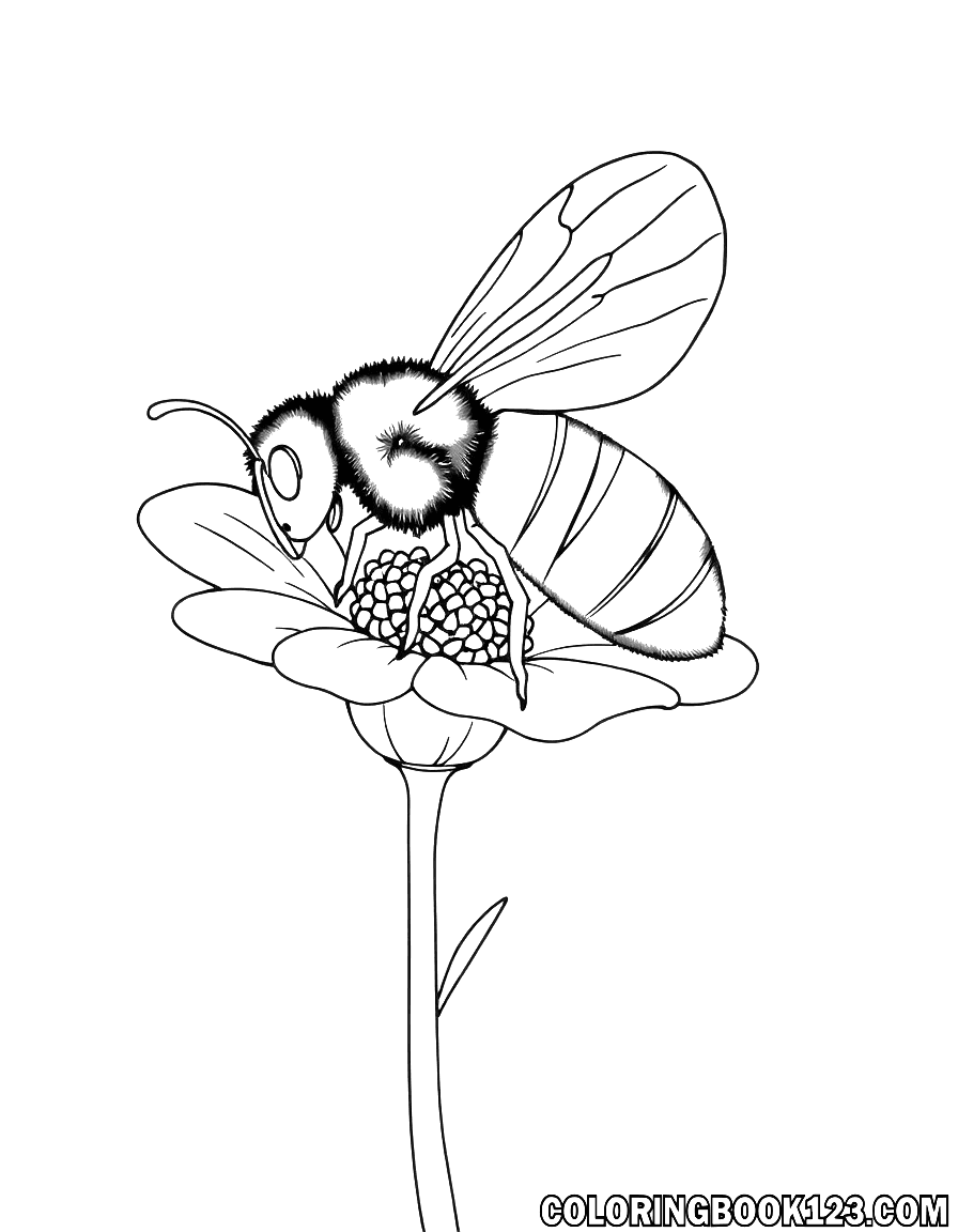 Biene auf einer Blume Ausmalbild