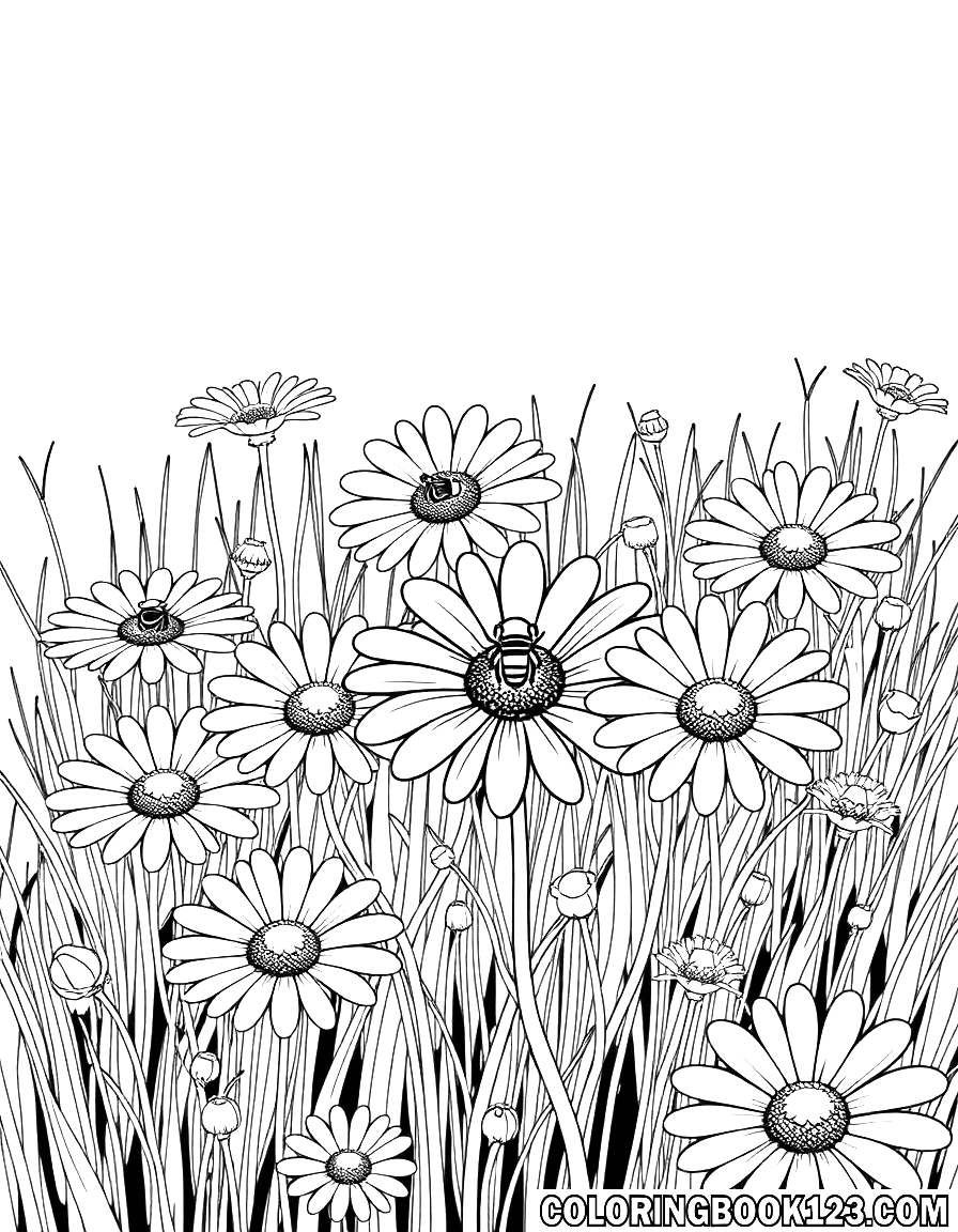 Daisy meadow with bees coloring page