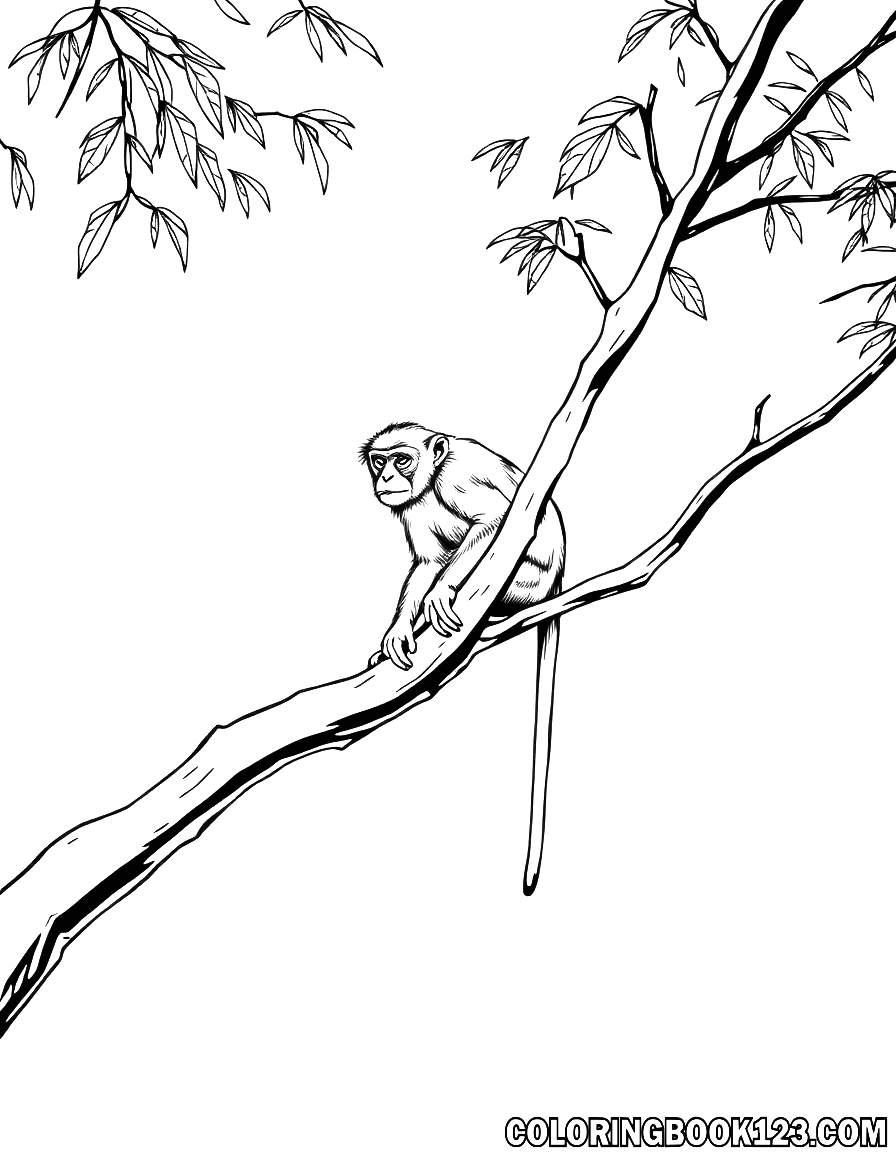 Ausmalbild eines Makaken auf einem Baum