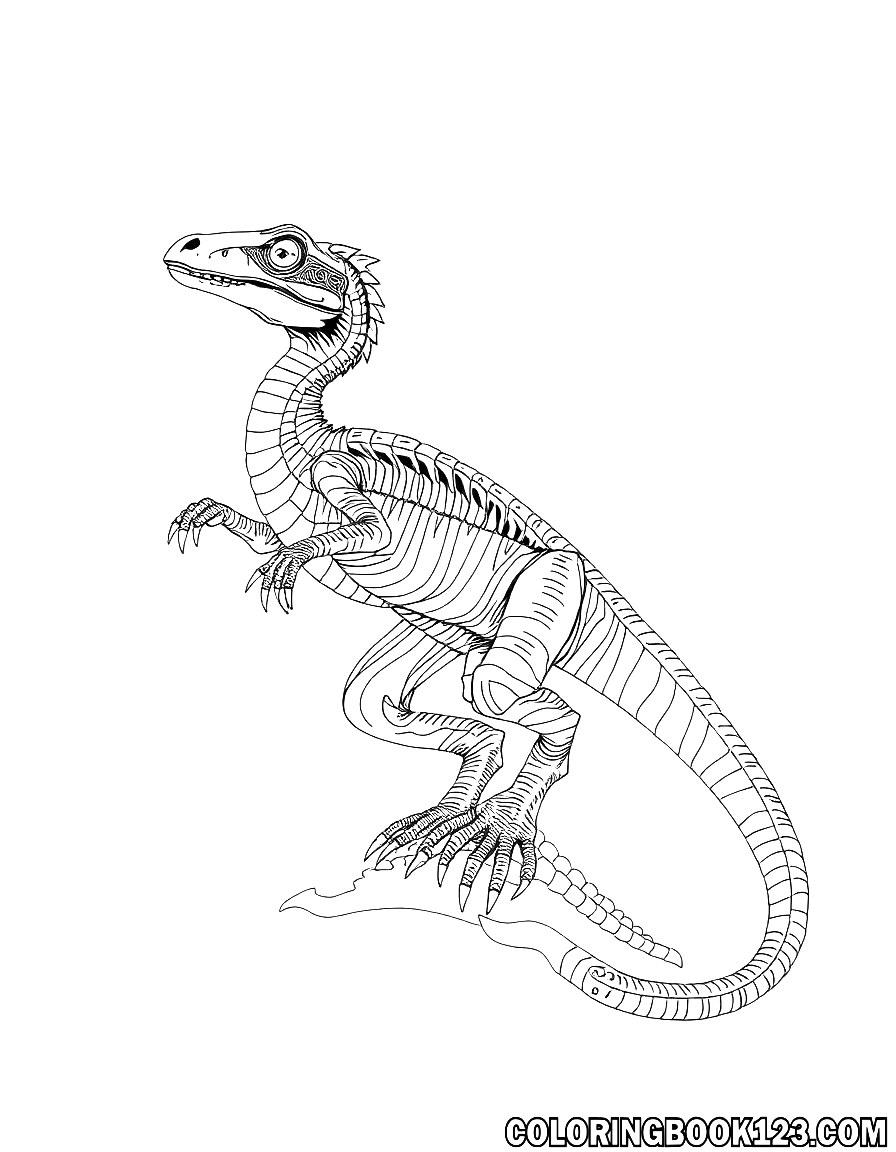Coelophysis Ausmalbild