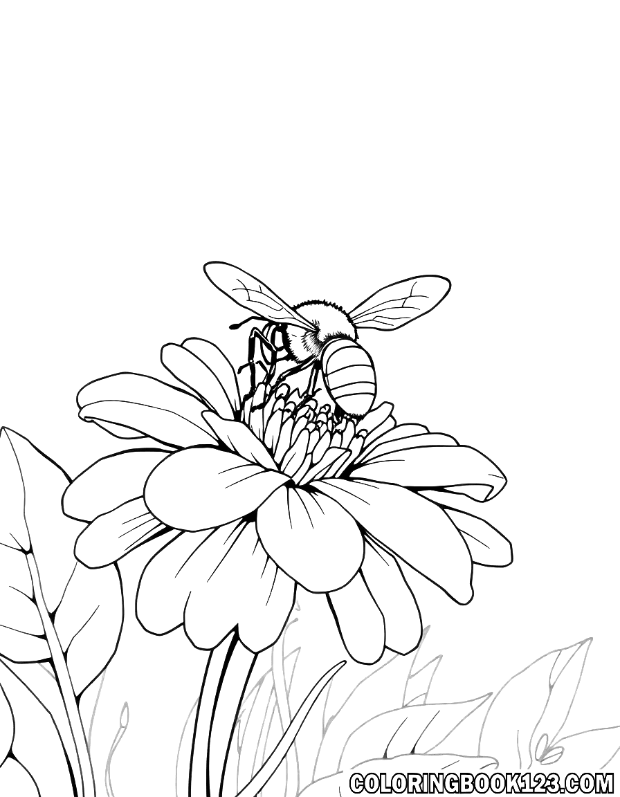 Ausmalbild einer Biene auf einer Blume