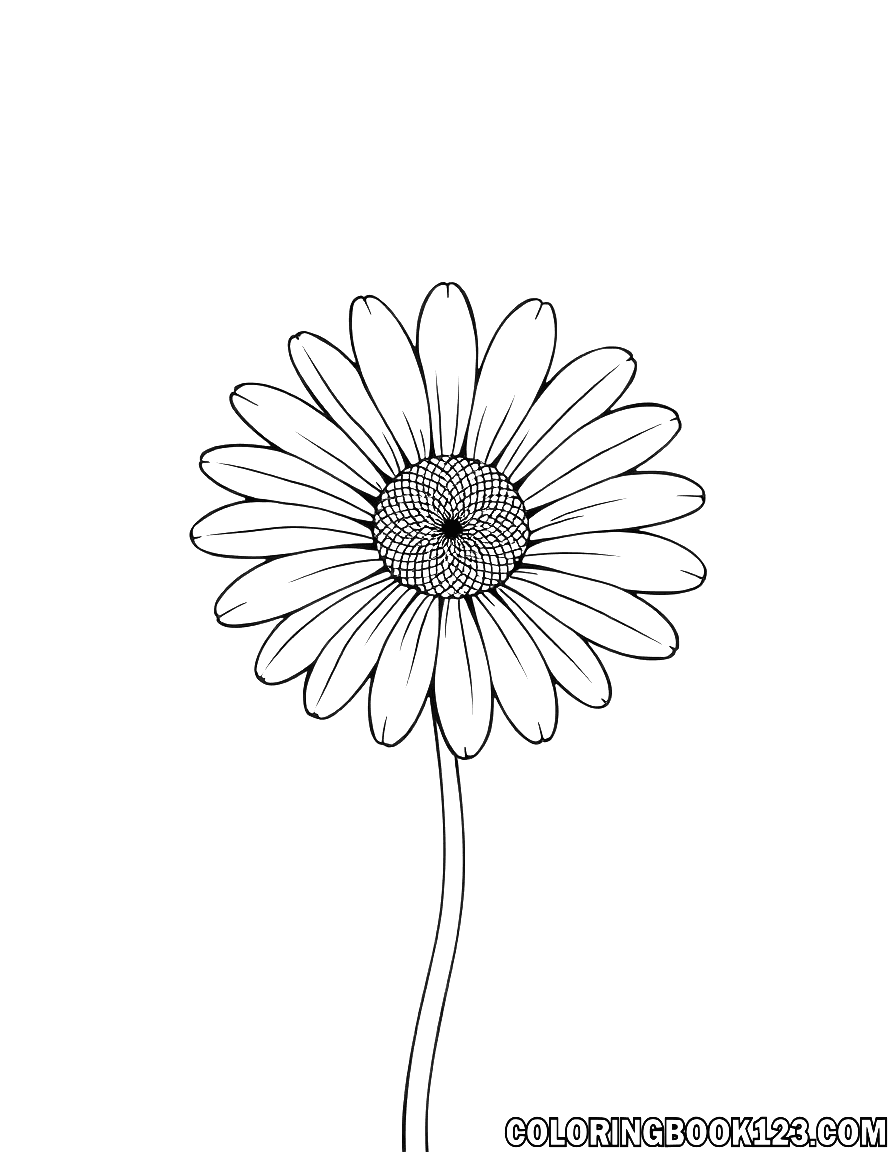 Daisy line art coloring page