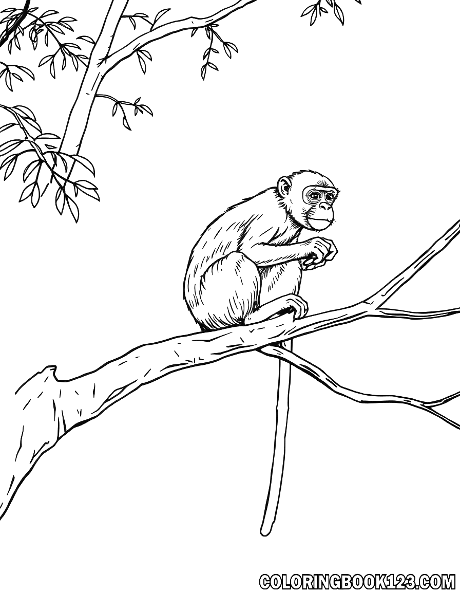 Macaque on a tree coloring page