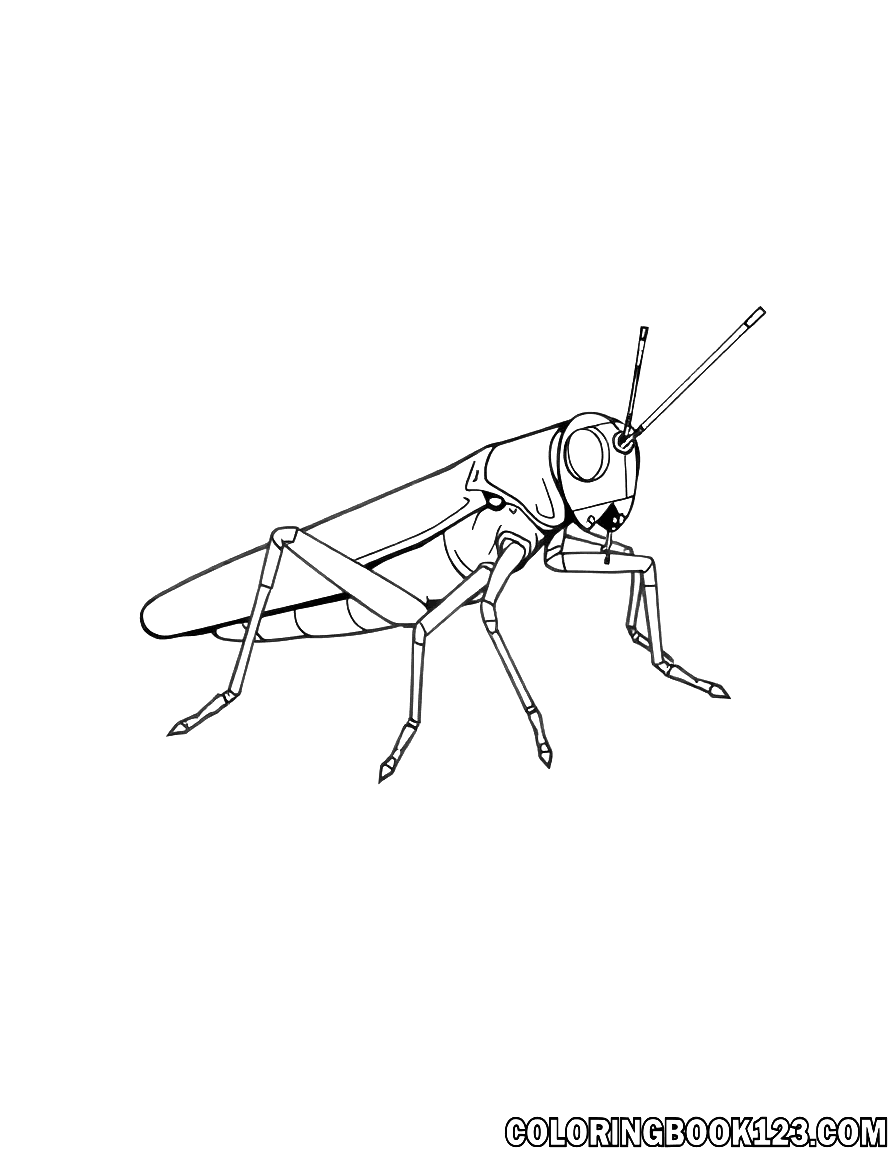Grasshopper line art coloring page