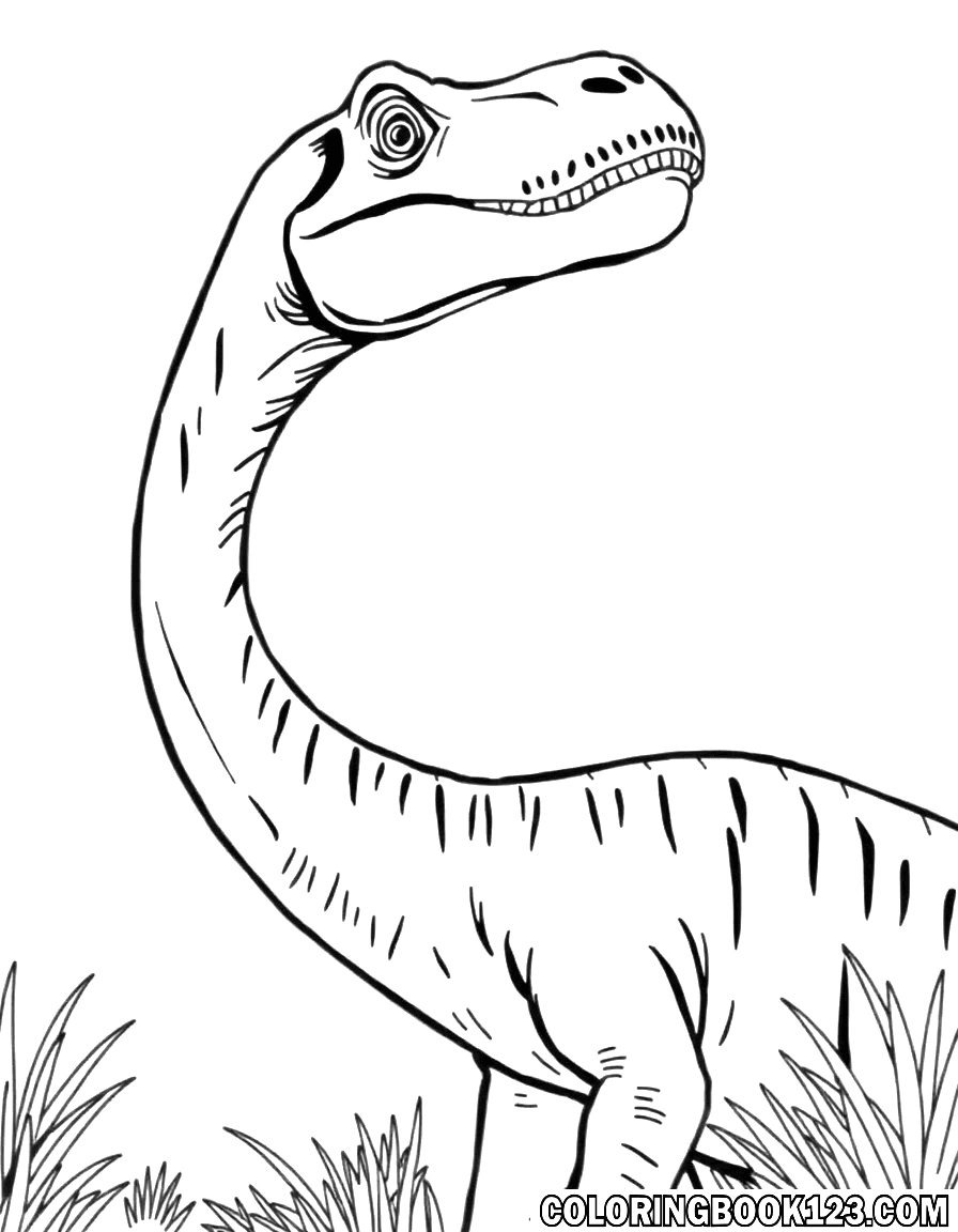 Brontosaurus Ausmalbild