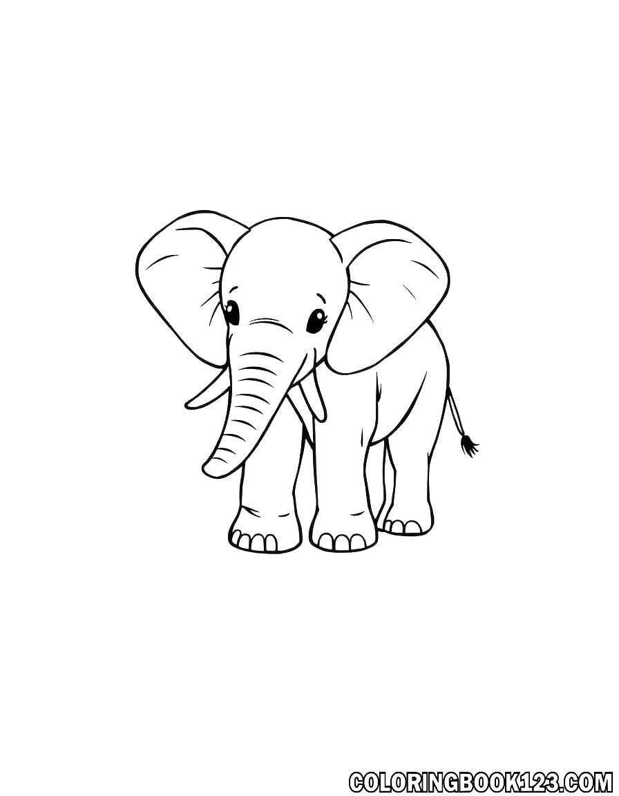 Baby Elefant Ausmalbild