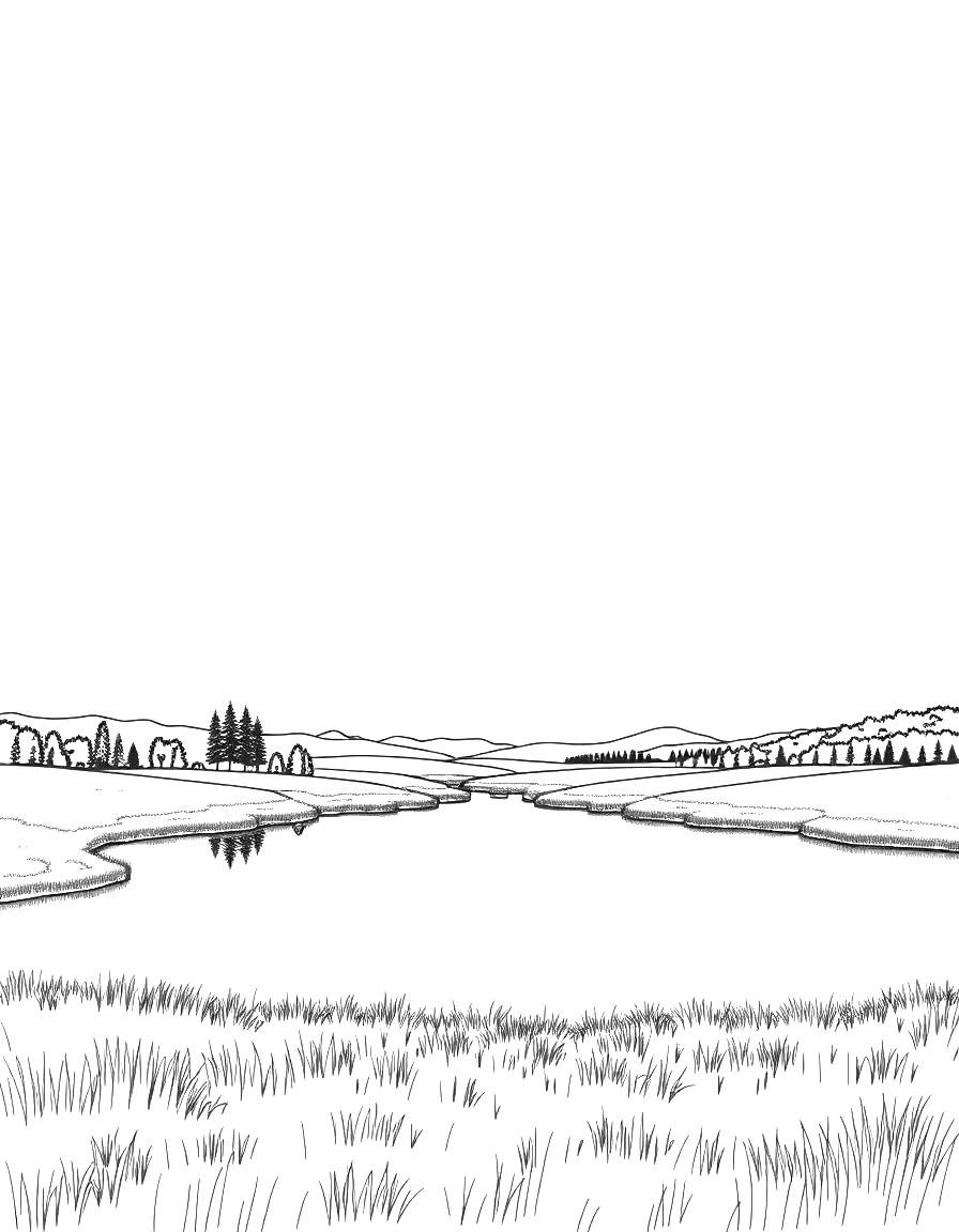 Ausmalbild eines Sees auf einer Wiese