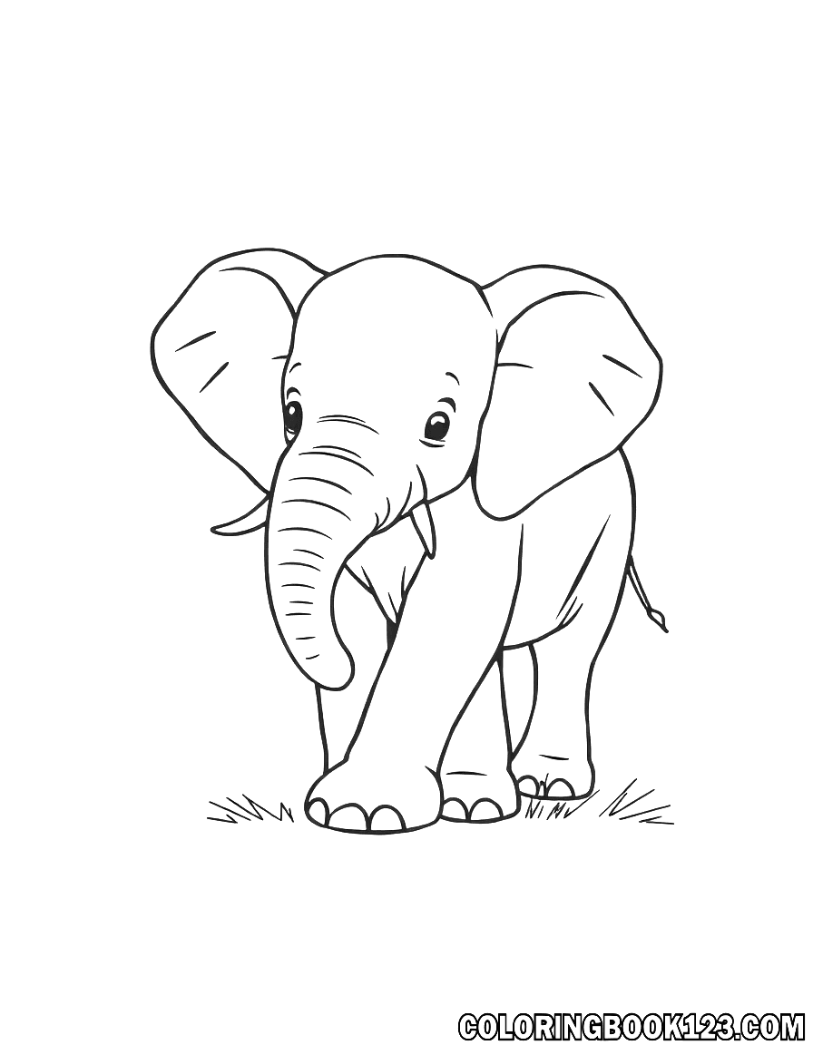 Baby Elephant Coloring Page
