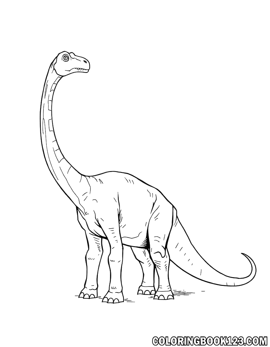 Brachiosaurus Ausmalbild in Schwarz-Weiß