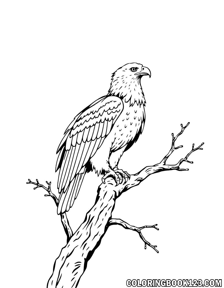 Eagle on a tree coloring page