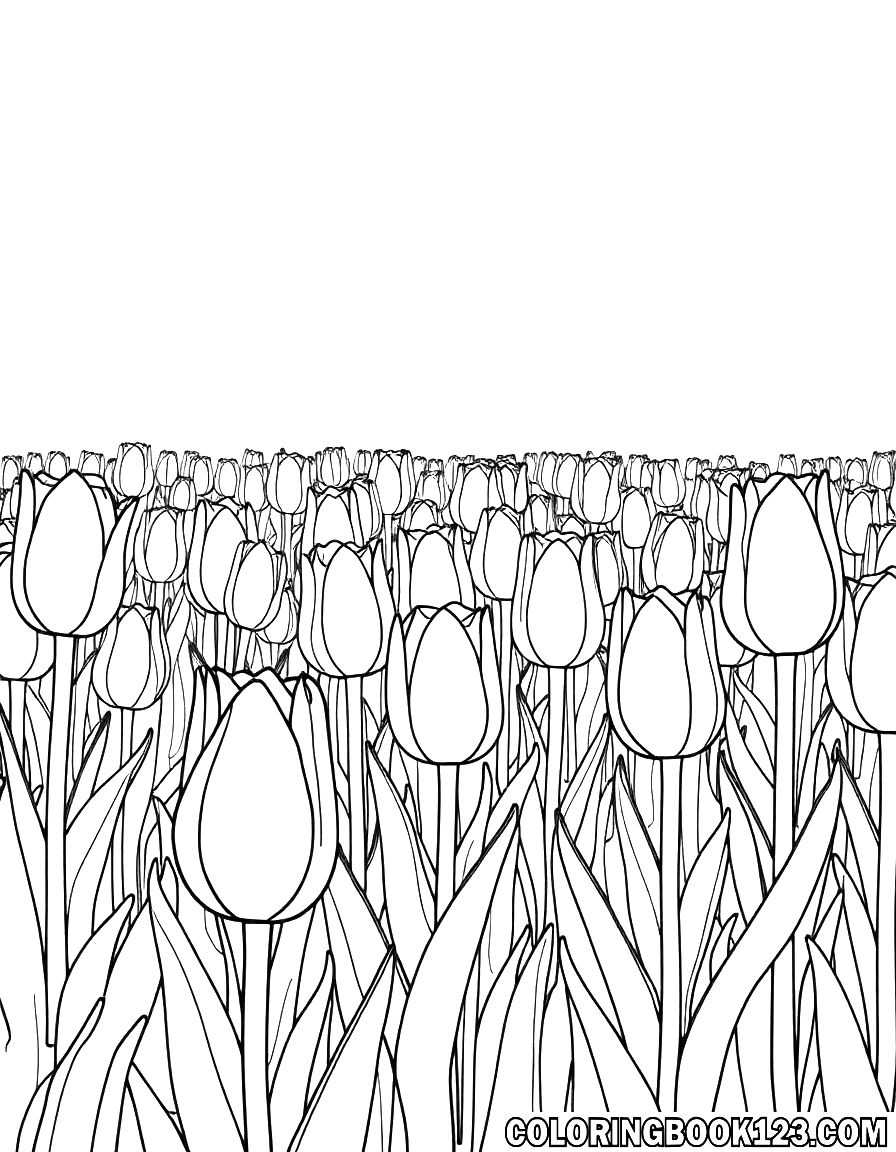 Ausmalbild eines Tulpenfeldes