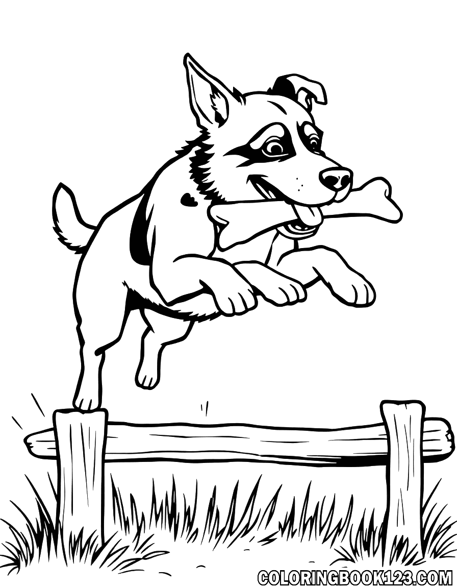 Hund springt über ein Hindernis mit einem Knochen im Mund