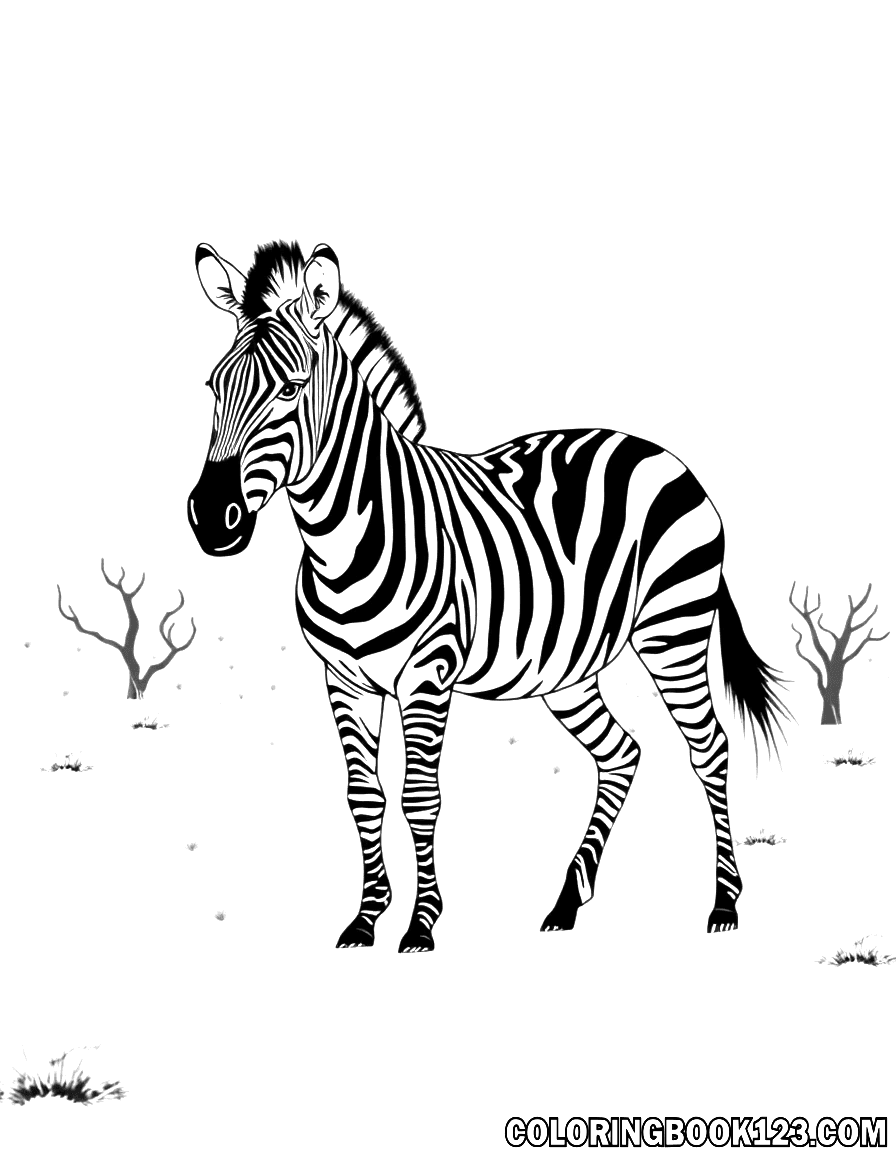 Zebra in der Wüste Ausmalbild