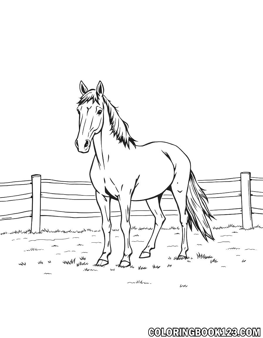 Ausmalbild eines Pferdes im Paddock