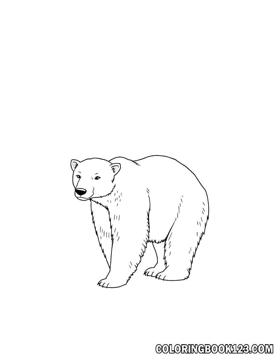 Eisbär im Schnee Ausmalbild