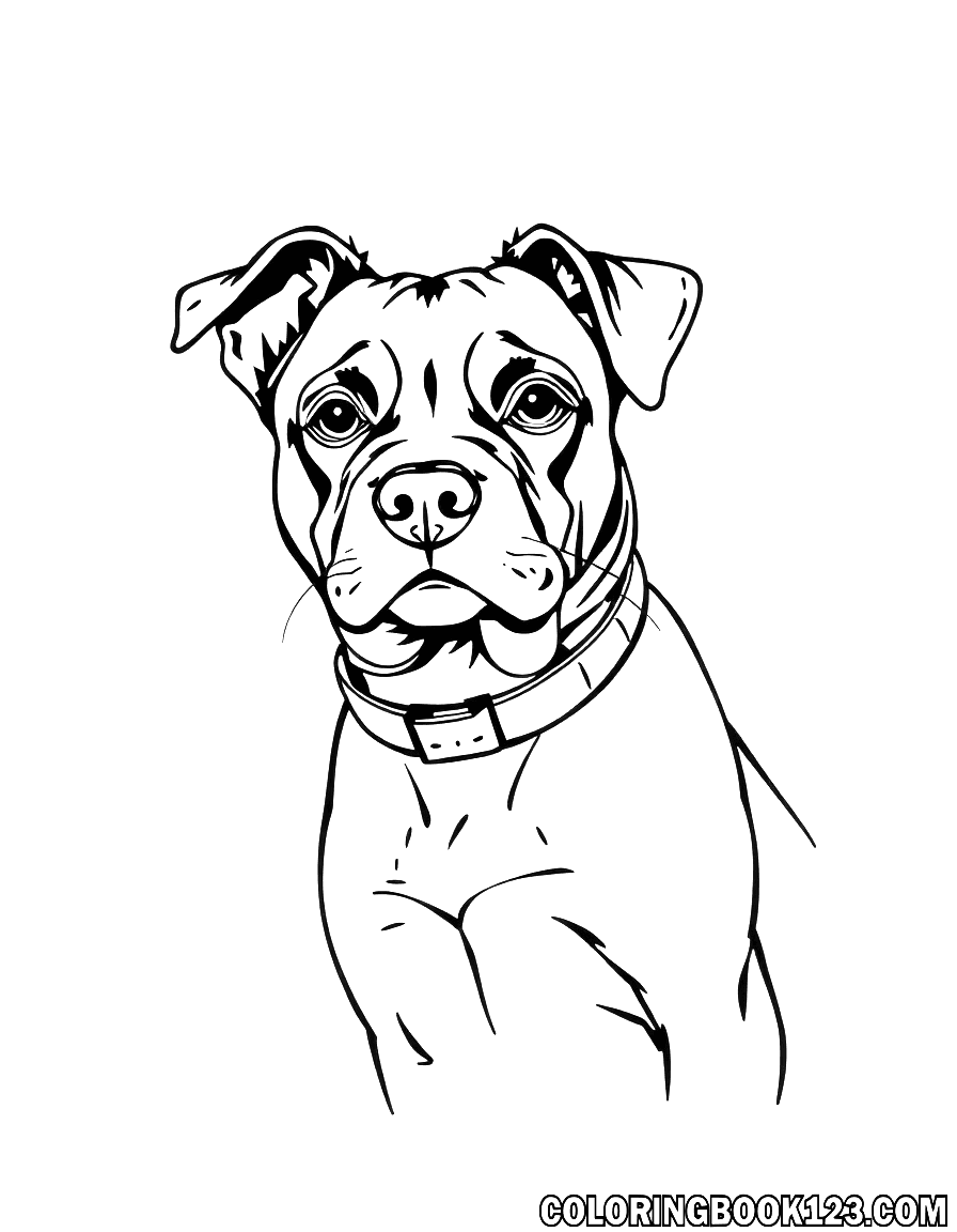 A dog in space coloring page