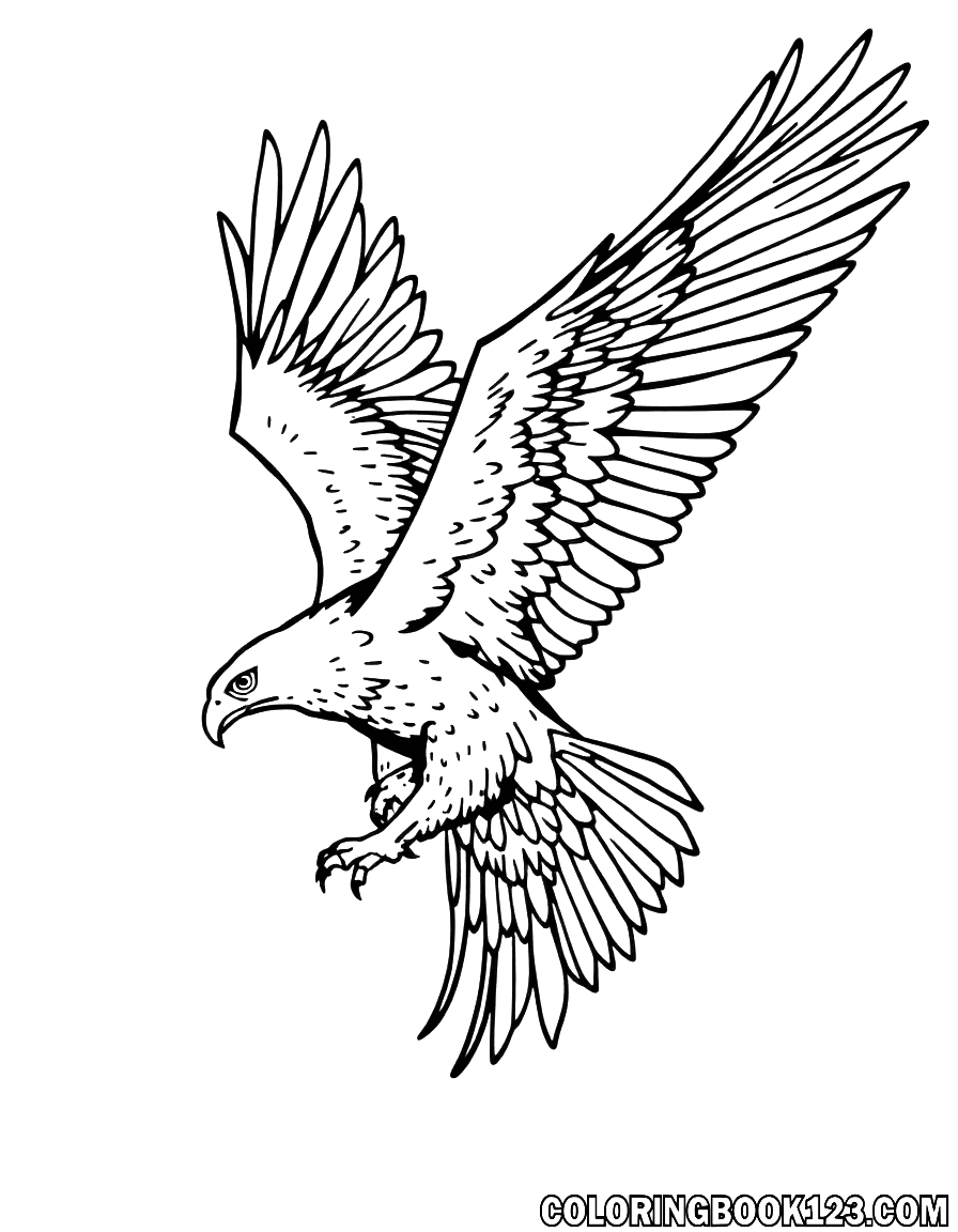 Eagle in the sky coloring page
