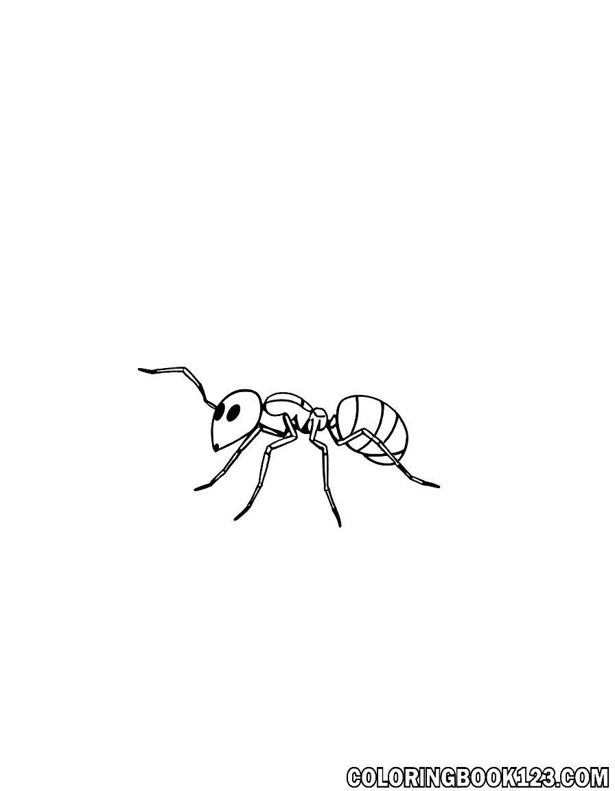 Ant on a path coloring page