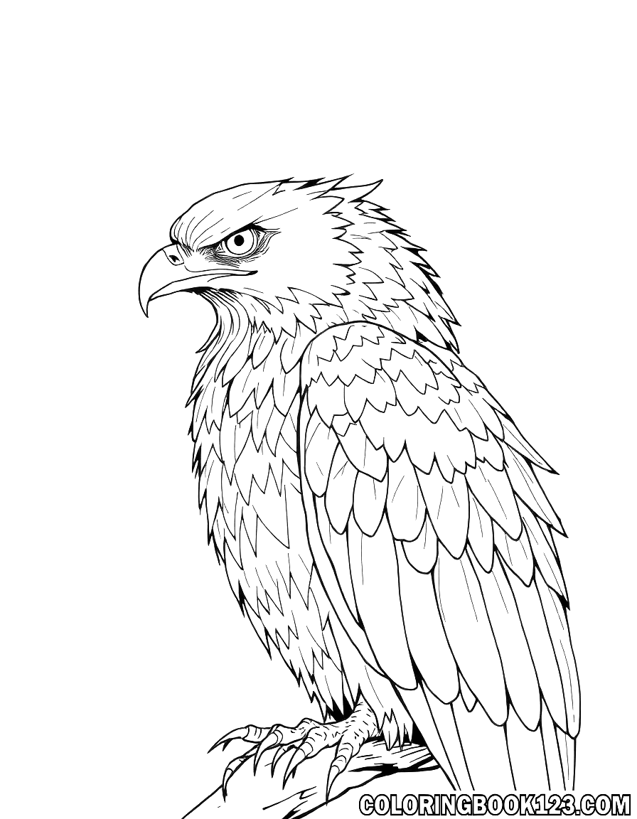 Eyrie coloring page with a majestic eagle in line art