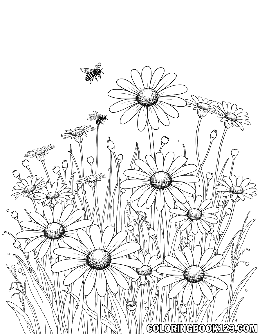 Ausmalbild einer Gänseblümchenwiese mit Bienen