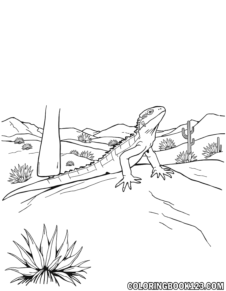 Lizard in the desert coloring page