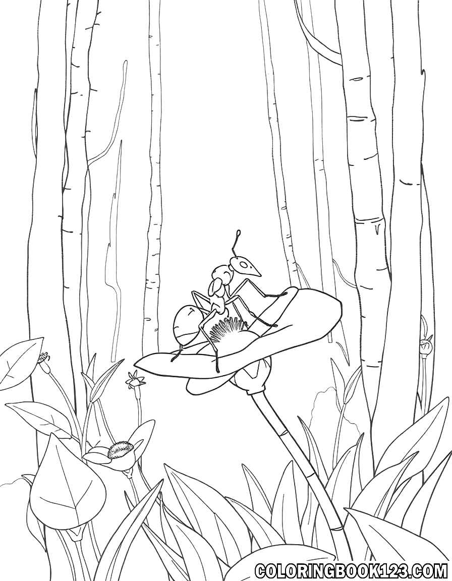 Ameise auf einer Blume im Wald, Ausmalbild
