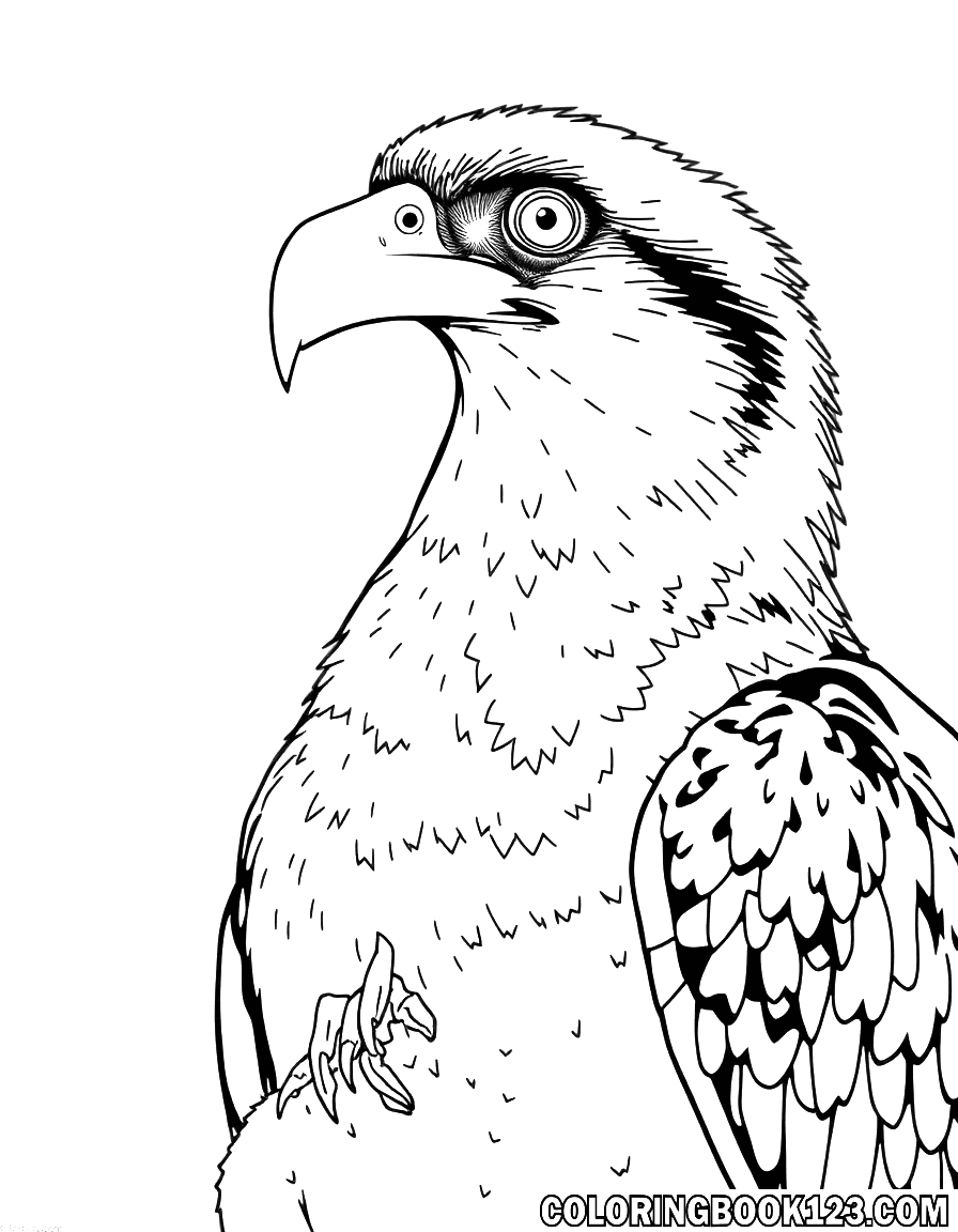 Osprey Ausmalbild in Schwarz-Weiß