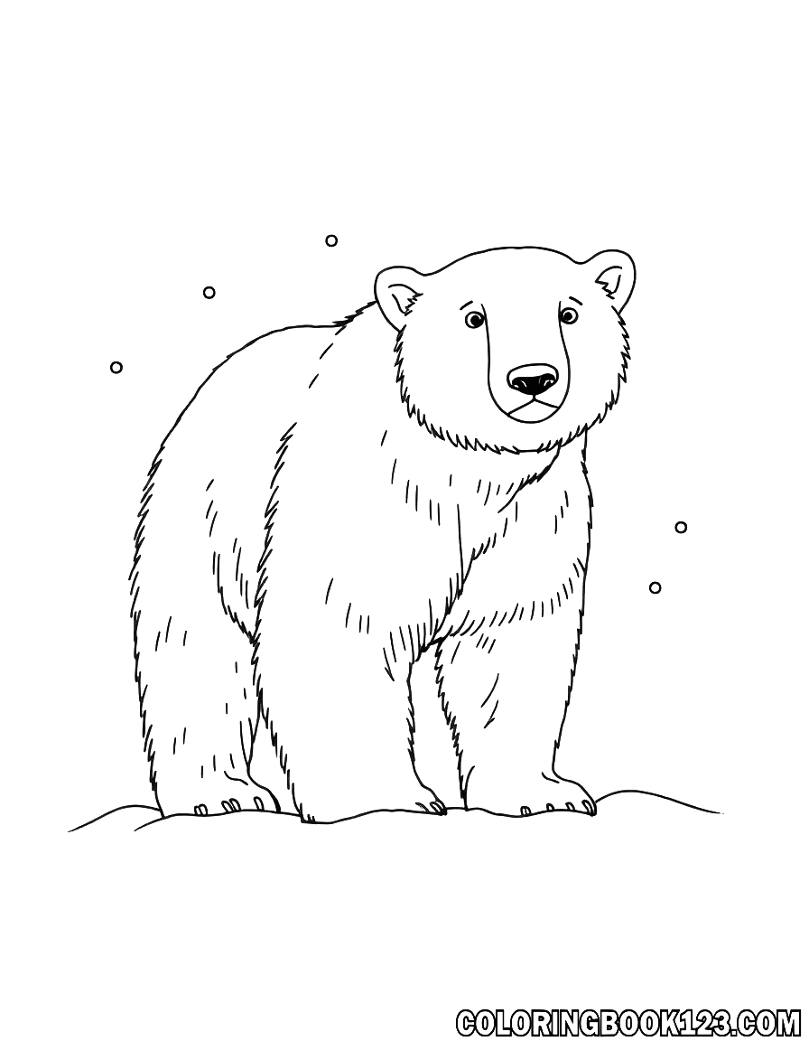 Eisbär im Schnee Ausmalbild