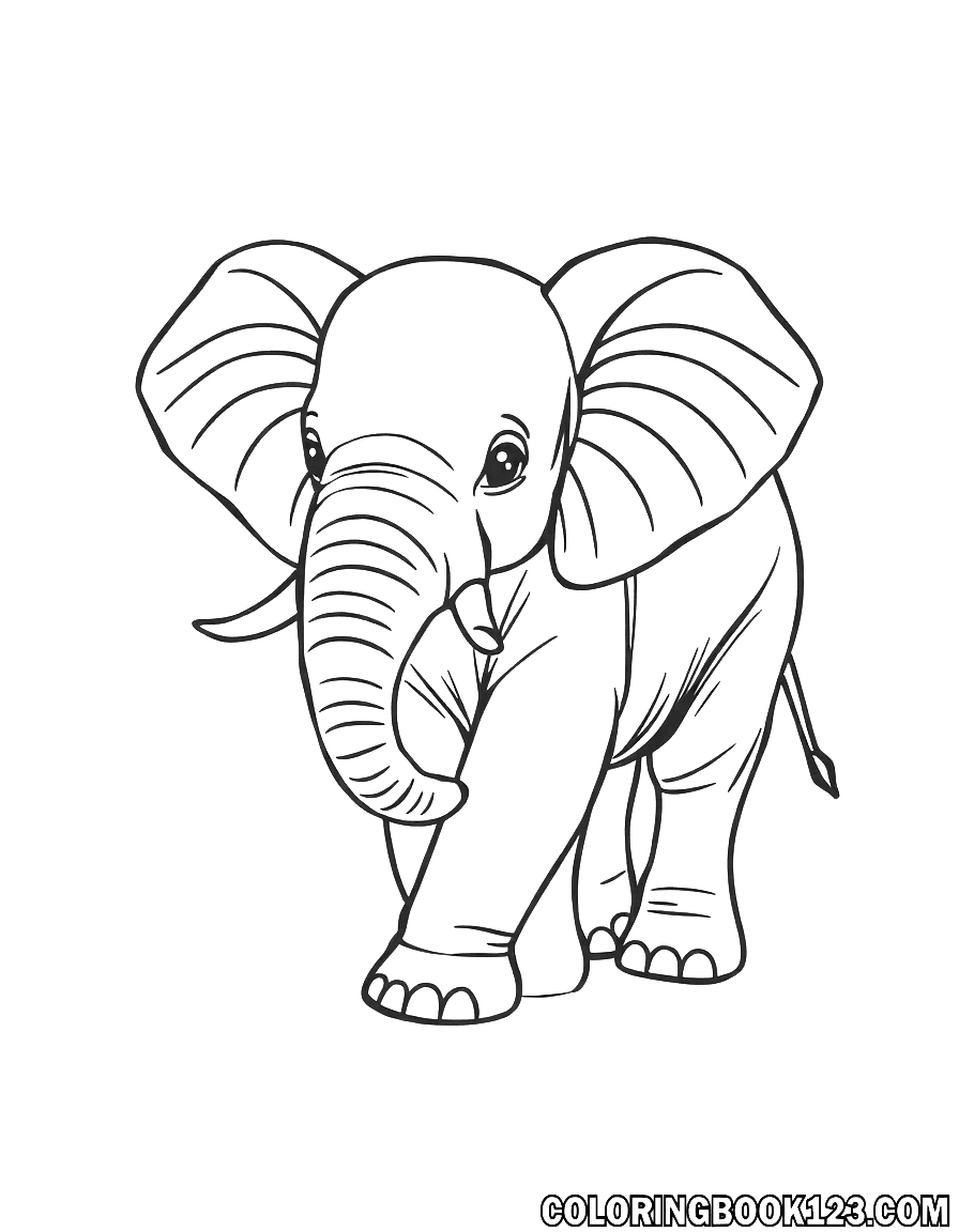 Baby Elefant Ausmalbild