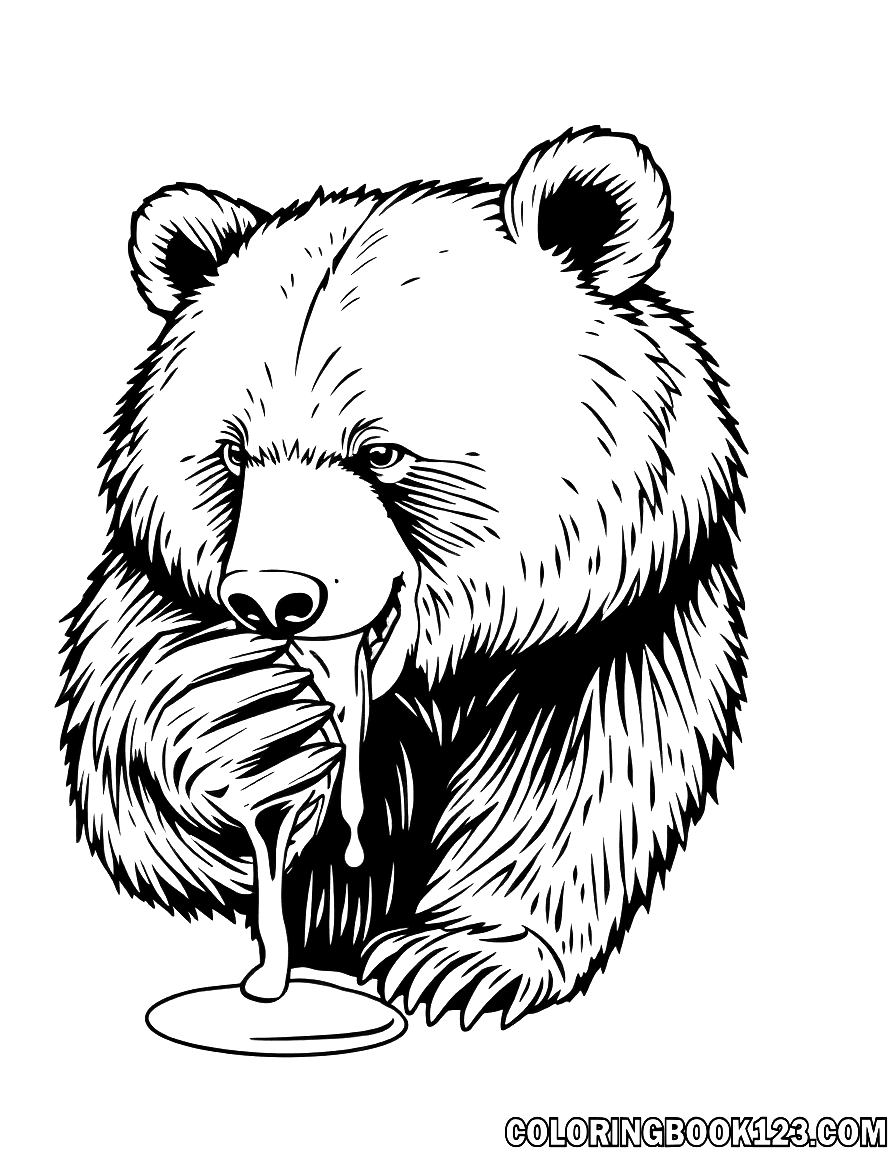 Bär, der Honig isst, Ausmalbild