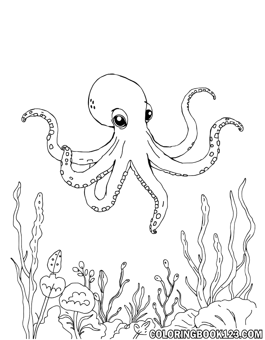 Ausmalbild eines Oktopus und Meerespflanzen