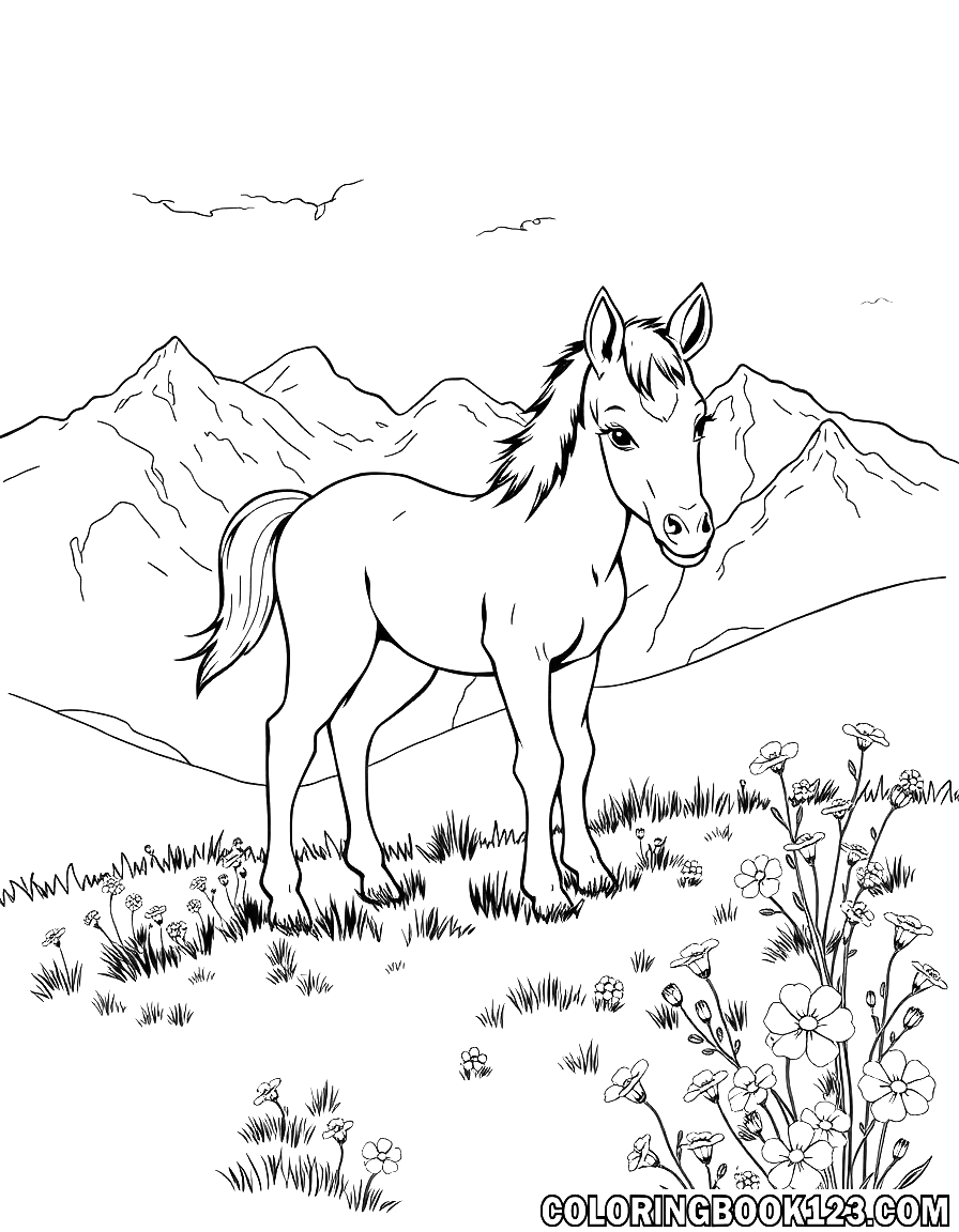 Fohlen auf einer Bergwiese mit Blumen
