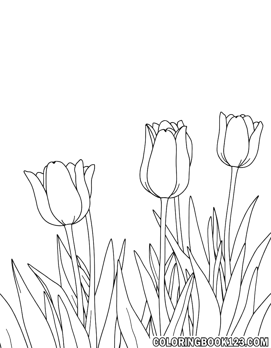 Ausmalbild von Tulpen in einer Wiese