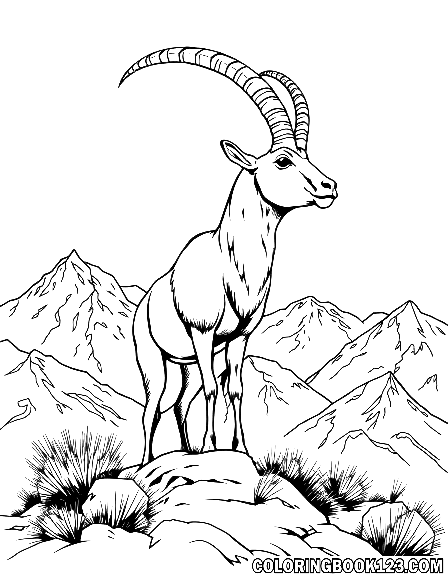 Ibex in den Bergen Ausmalbild