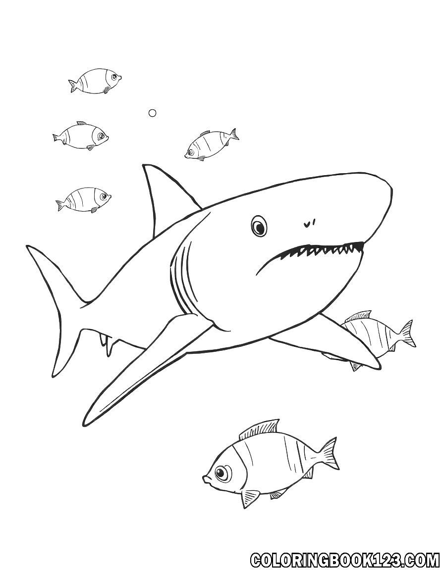 Ausmalbild eines Haifischs im Meer mit anderen Fischen