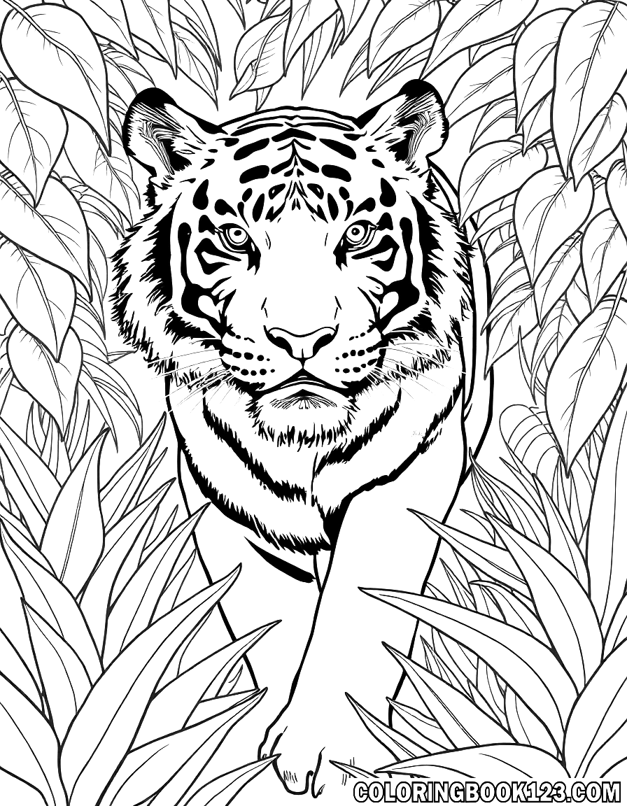 Tiger im Dschungel Ausmalbild