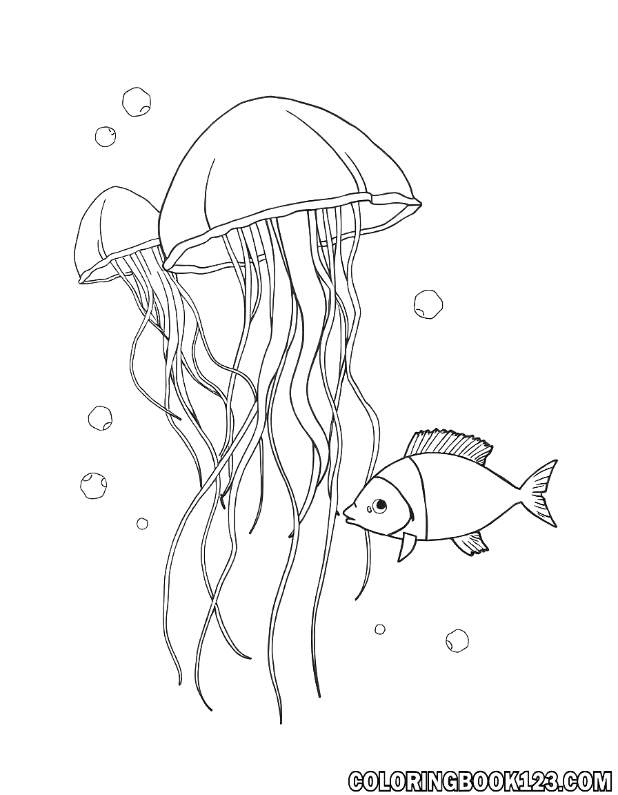 Ausmalbild von Quallen und Fischen im Meer