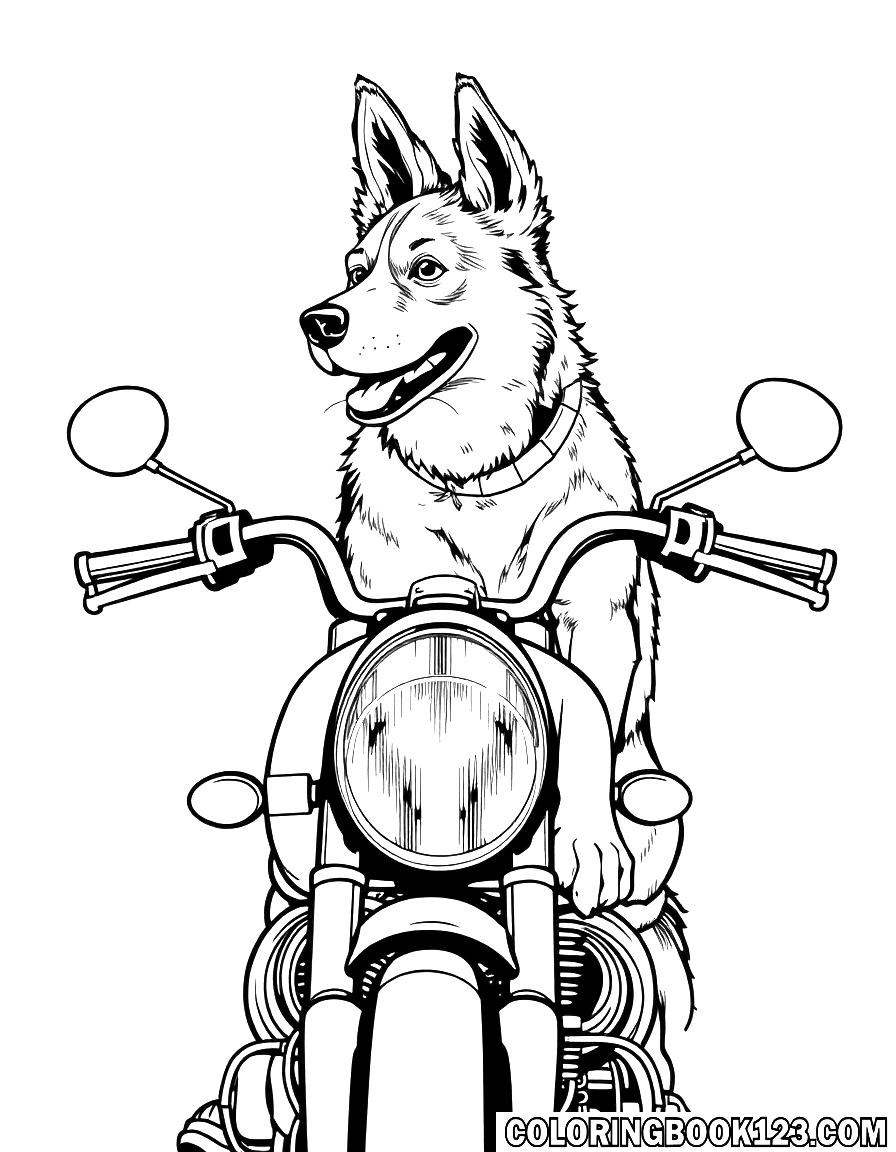 Ausmalbild eines Hundes auf einem Motorrad
