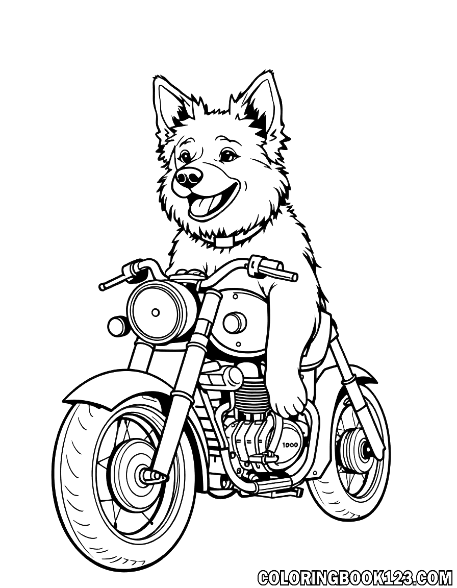 Ausmalbild eines Hundes auf einem Motorrad