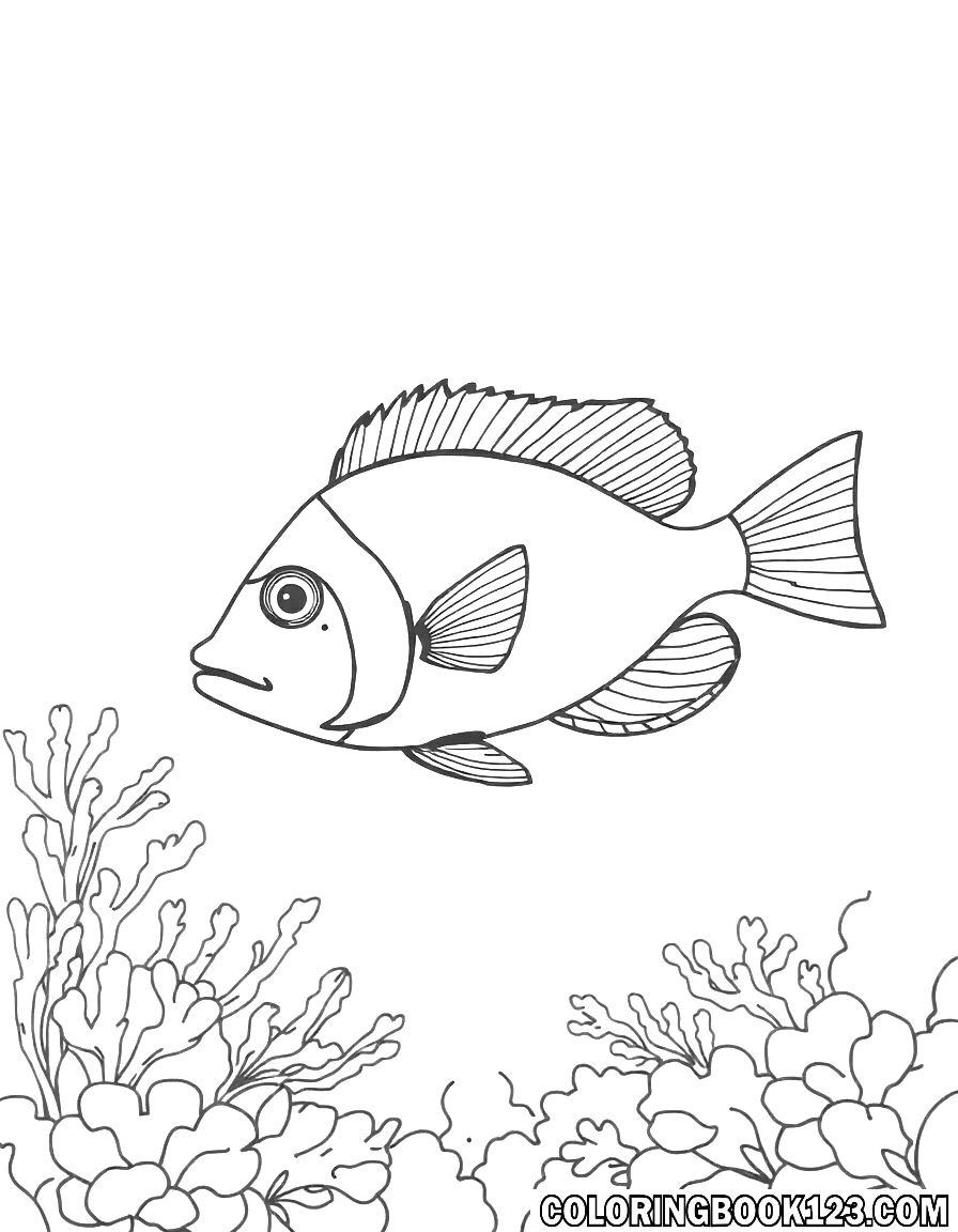 Fisch im Korallenriff Ausmalbild
