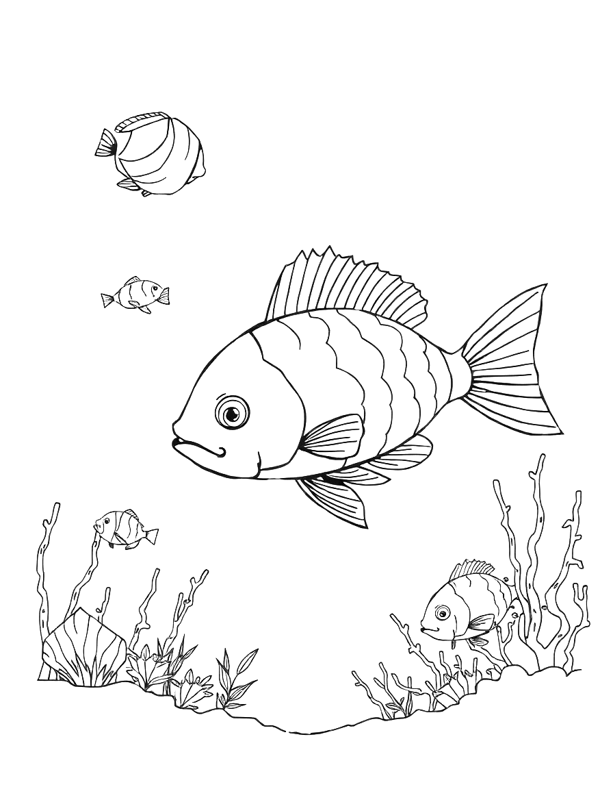 Ausmalbild von Fischen im Wasser mit Unterwasserlandschaft