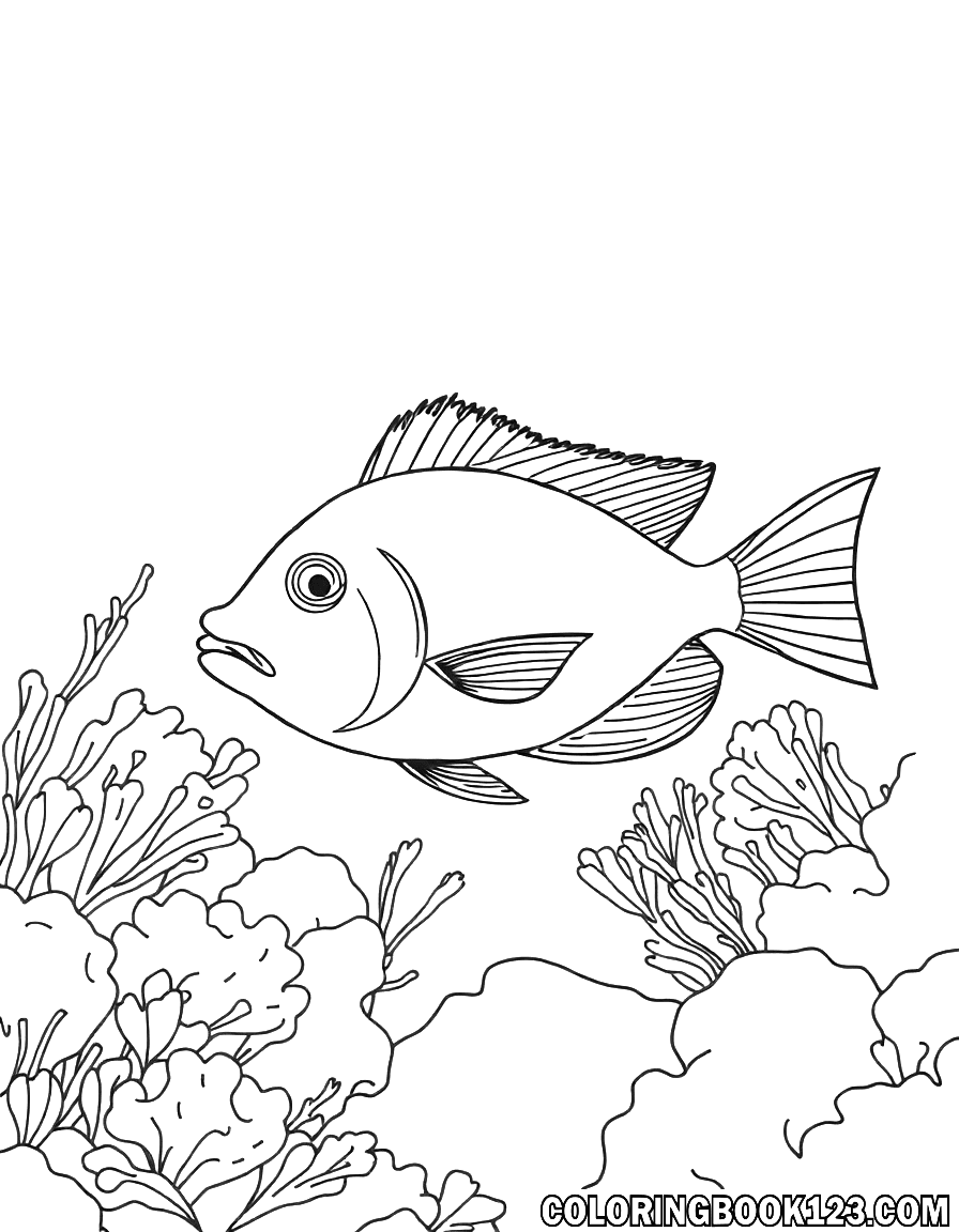 Fisch im Korallenriff Ausmalbild