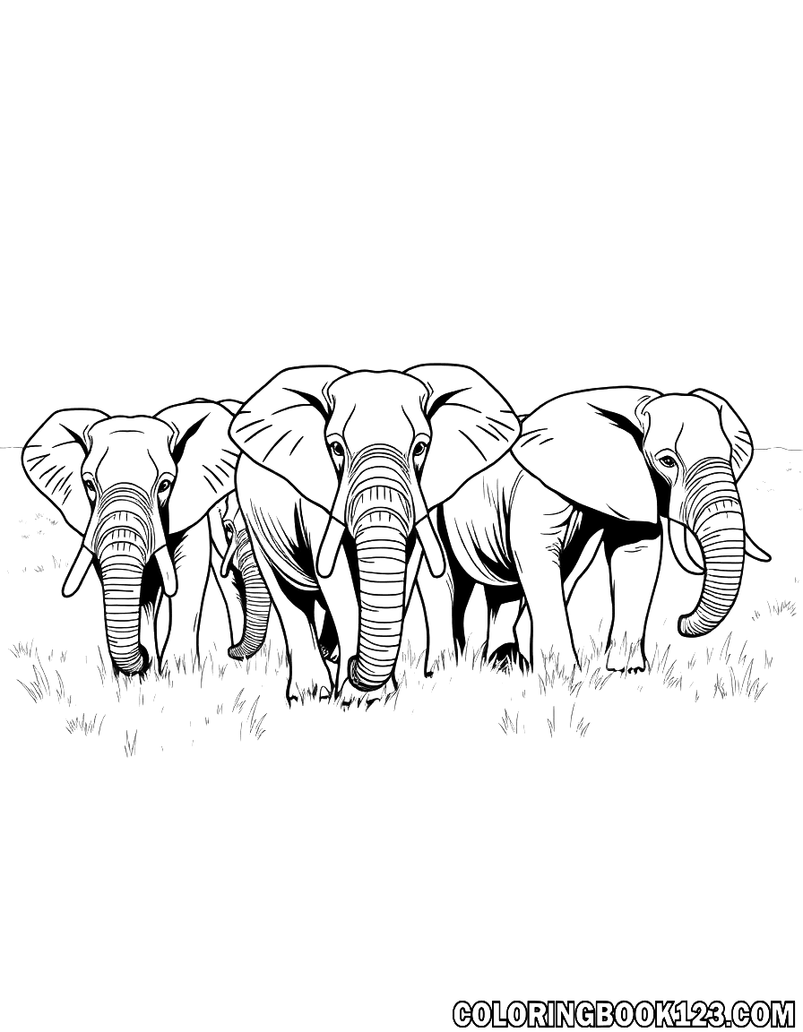 Herd von Elefanten in der Savanne, Ausmalbild